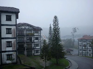 wet cameron hhighlands